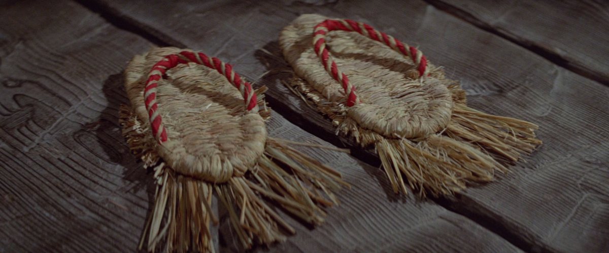 Two straw sandals with red cords lying side by side on a wooden floor